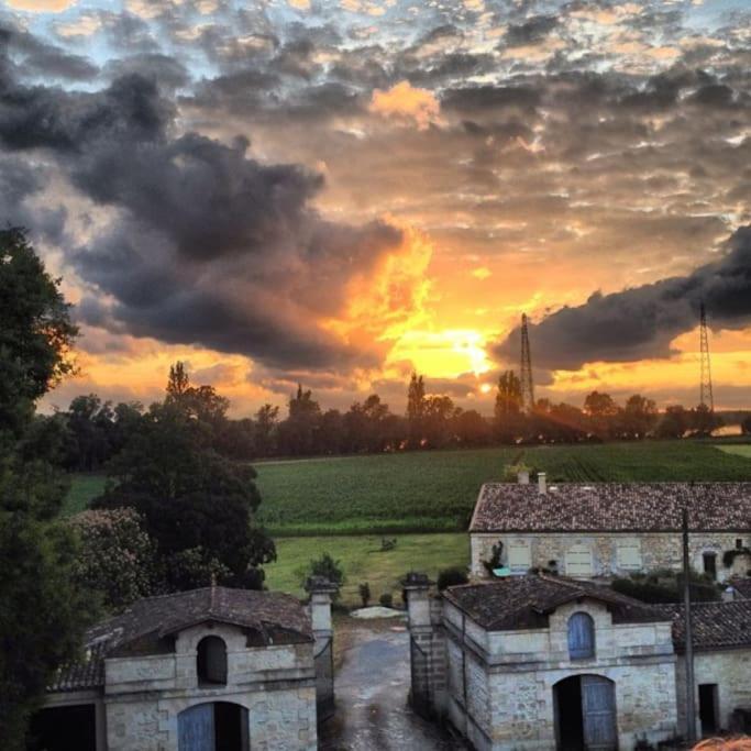 Chateau Couffins Asques ภายนอก รูปภาพ